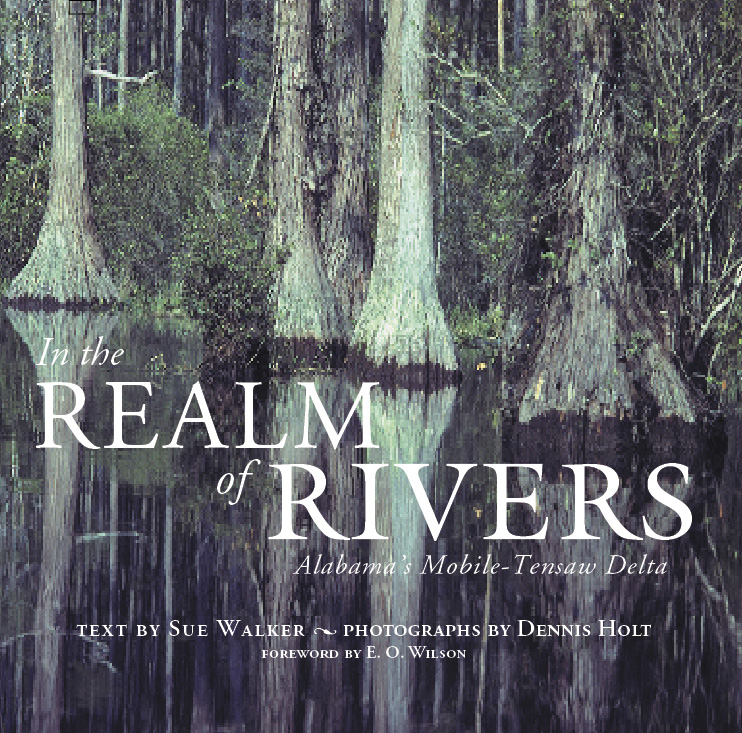 In the Realm of Rivers