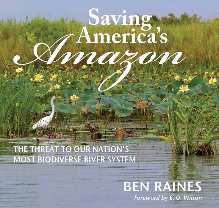 Saving America’s Amazon